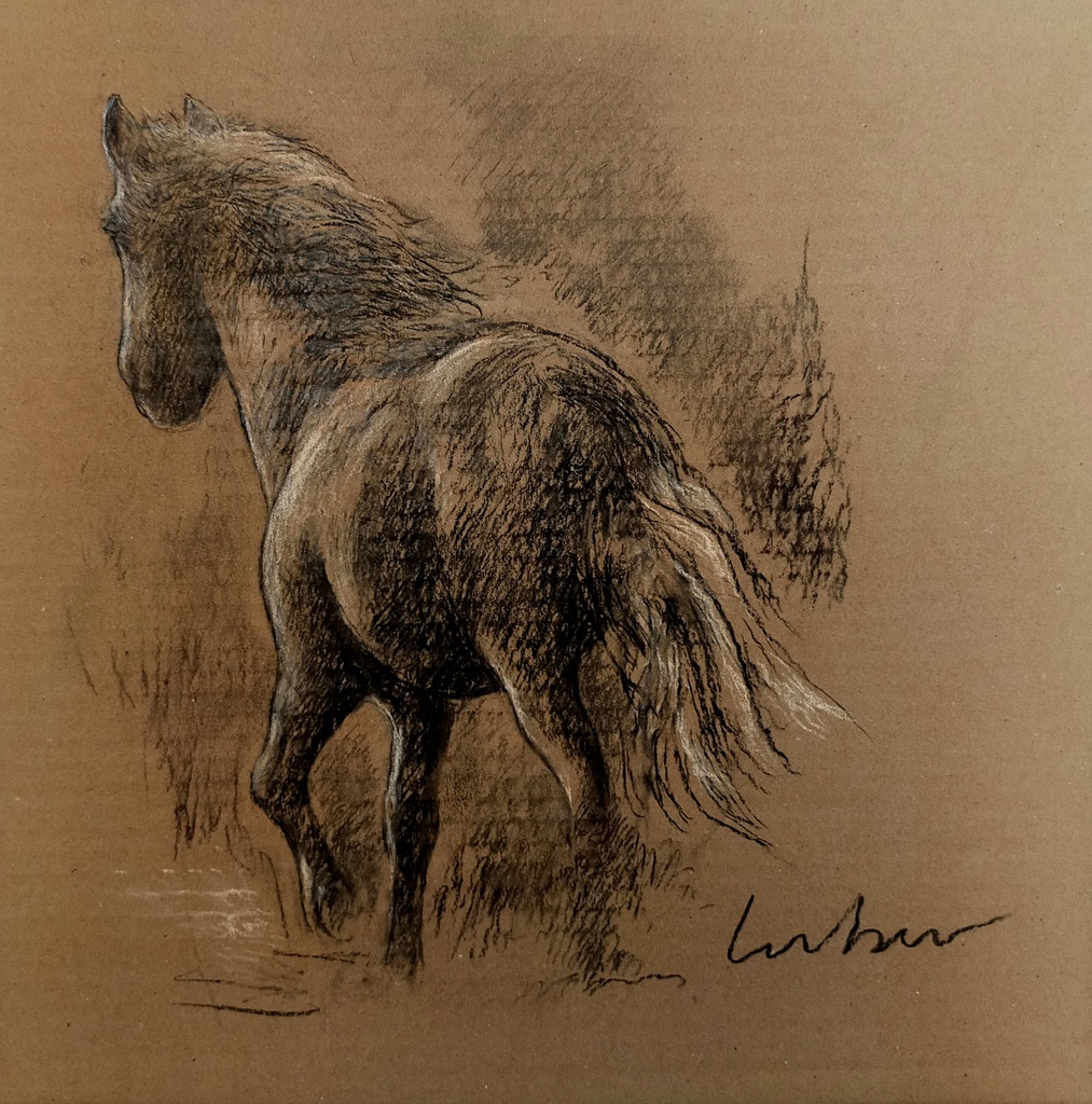 Galop