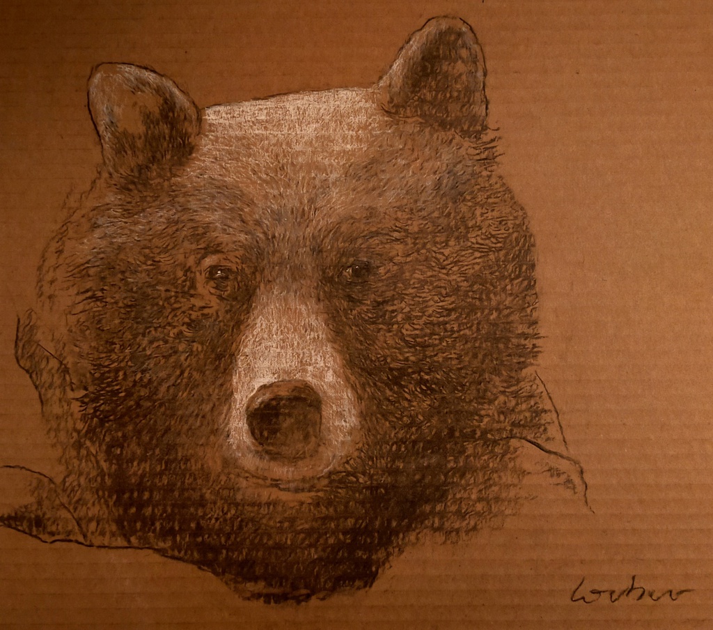 L'Ours