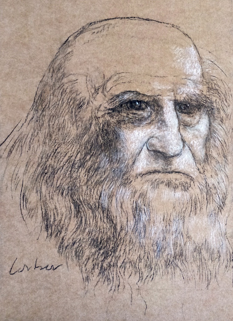 Vinci