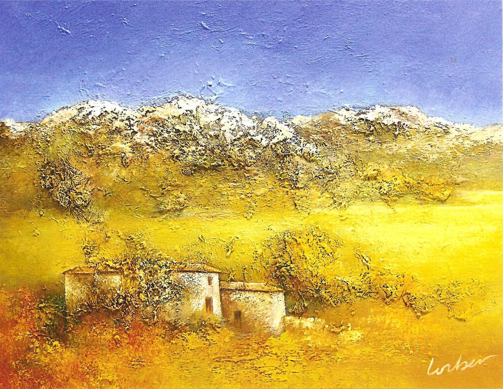 Dans les Alpilles