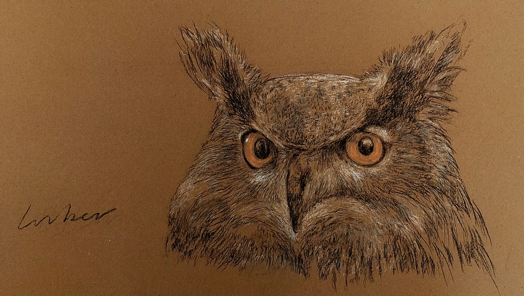 Le Hibou