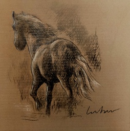 Galop