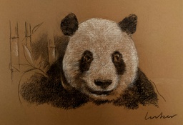 Le Panda