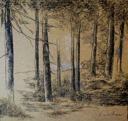 Sous-Bois
